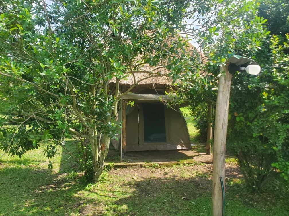 Engiri Game Lodge And Campsite Katunguru Exterior foto